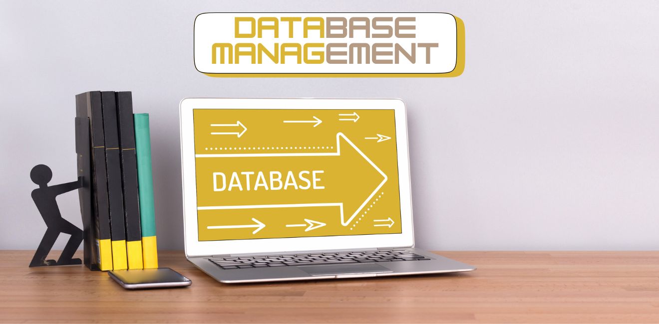 Database Management Services